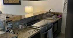 Increíble PH en Venta con Roof Garden del Valle