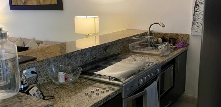 Increíble PH en Venta con Roof Garden del Valle
